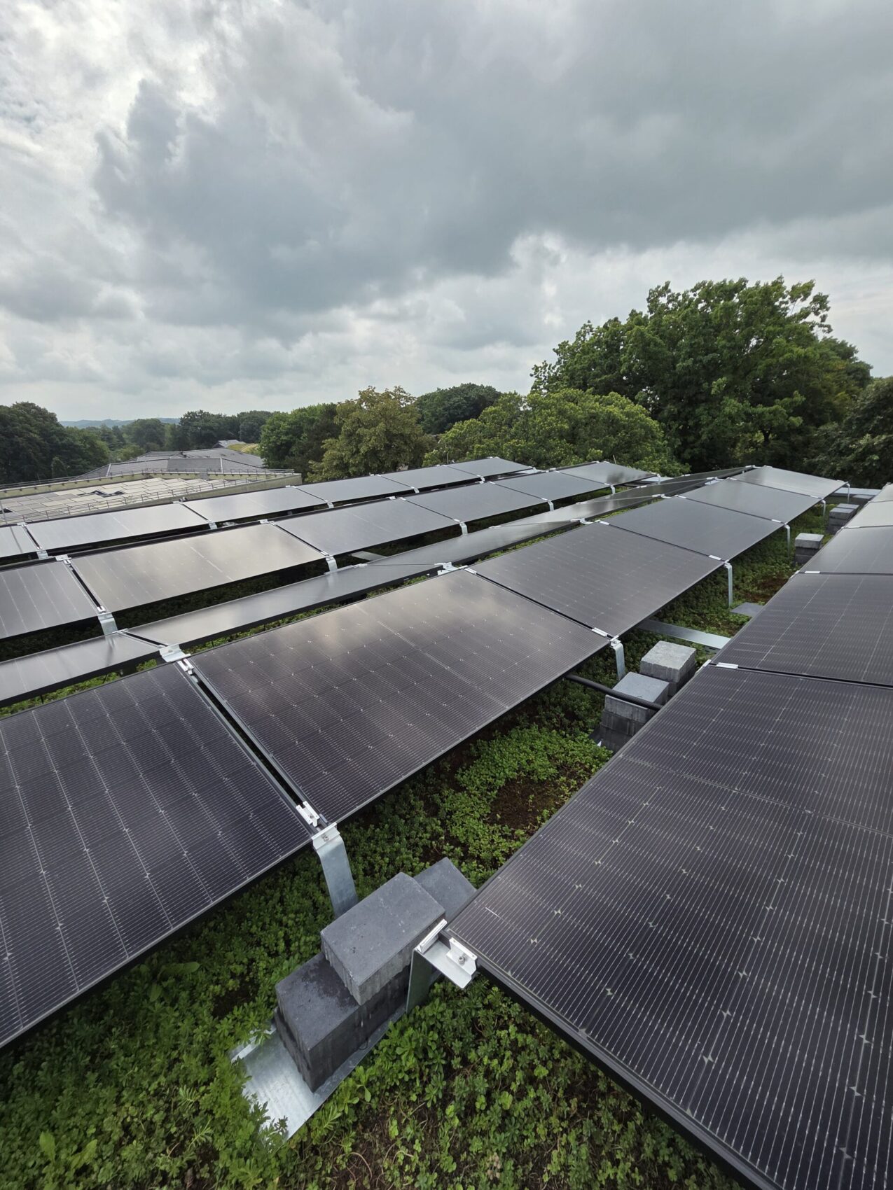 Mehrere Panels einer Photovoltaik-Dachanlage